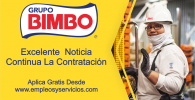 Bimbo Continua Ofreciendo Trabajo En El País