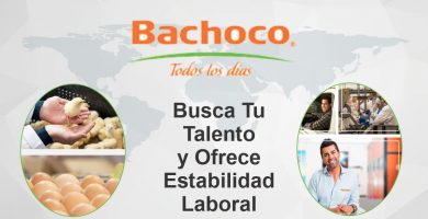 Empresa BACHOCO, Ofrece Excelente Oportunidad Laboral