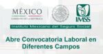 El IMSS de México Abre Convocatoria Laboral