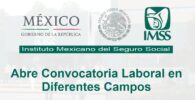El IMSS de México Abre Convocatoria Laboral